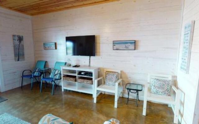 803 The Commons - Dancing Dolphin