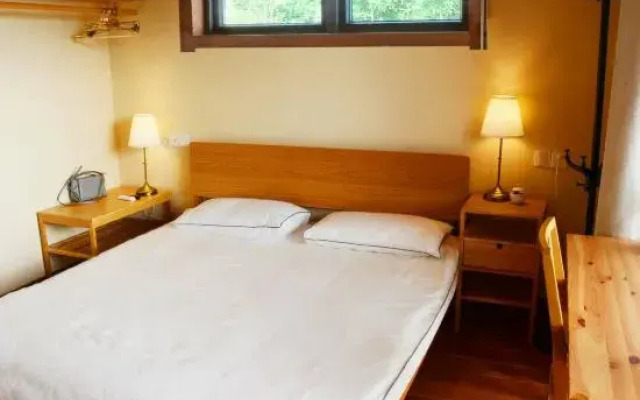 Kiwi Mountain Villa