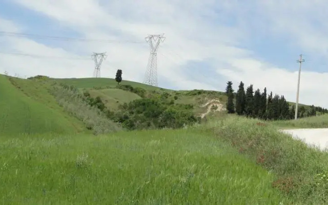 Il pollice verde
