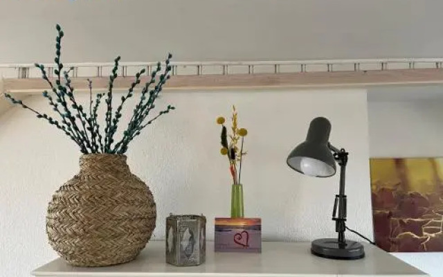 Studio Zuid 5