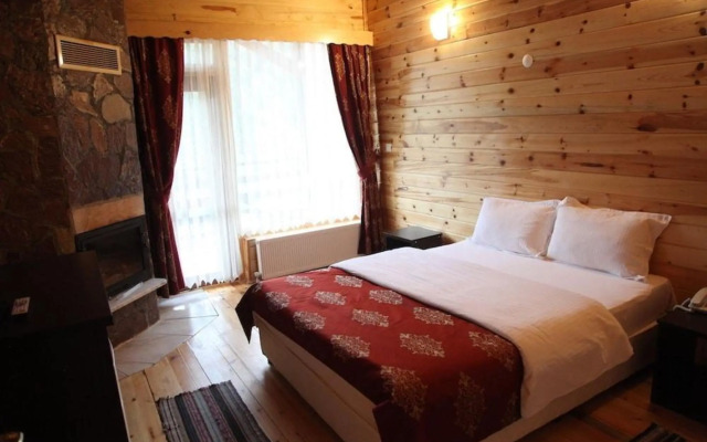 Abant Kartal Yuvasi Hotel