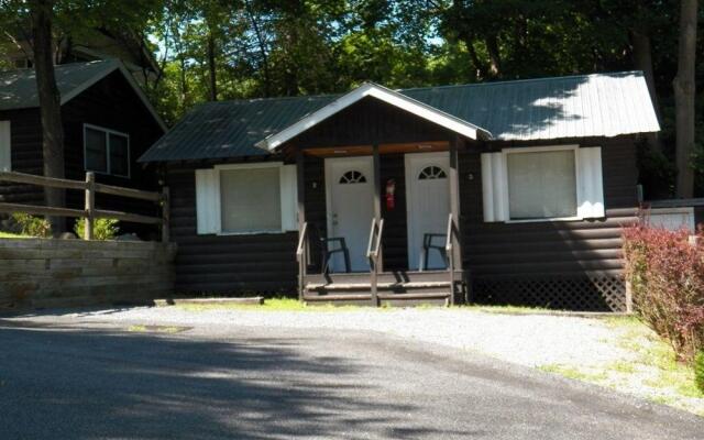 Lake George Bears Den