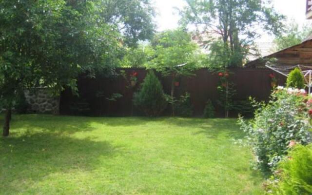 Raza Soarelui Pension