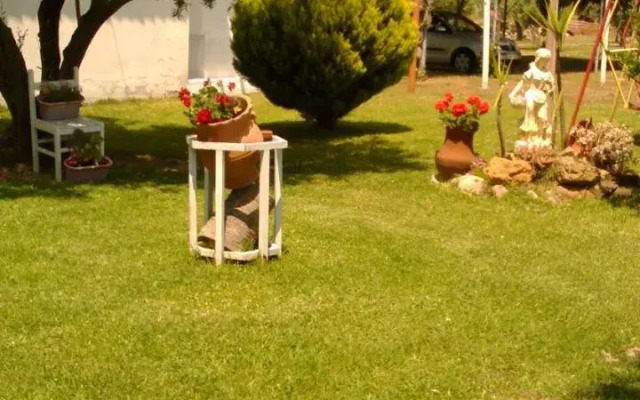 Sophia's House