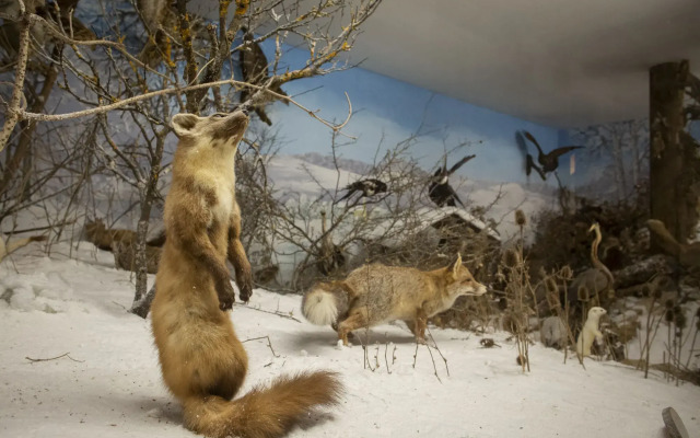Waldgasthof zum Geländer