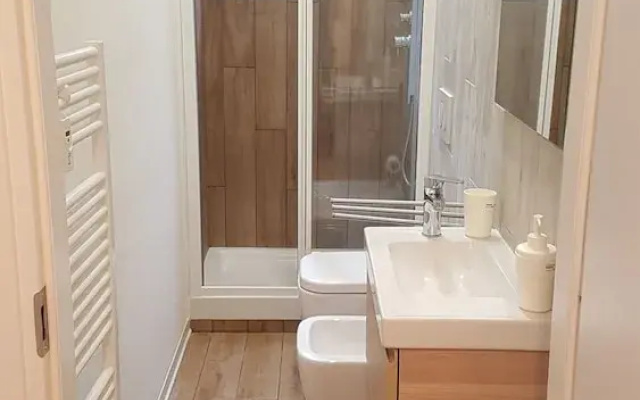 Casa Fox Terrier