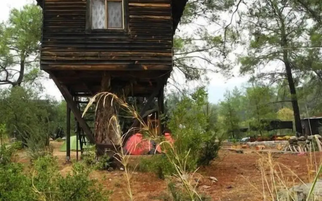 Olympos Woods - Adults Only