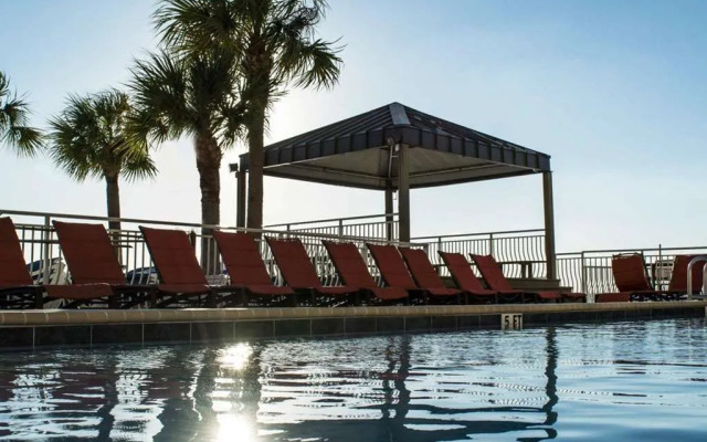 Winter the Dolphins Beach Club, Ascend Hotel Collection