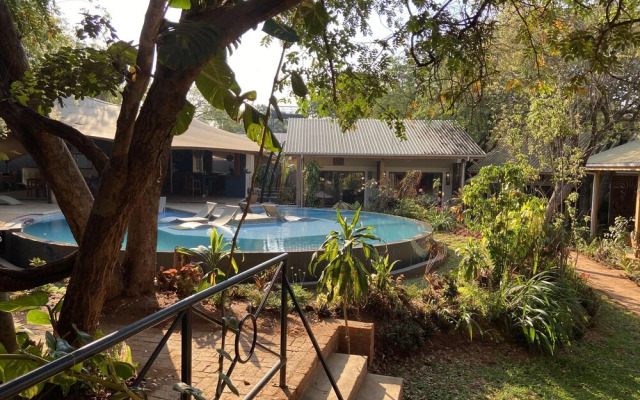 Shongwe Oasis