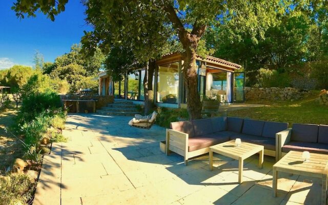 Wild Boar Mountain - France