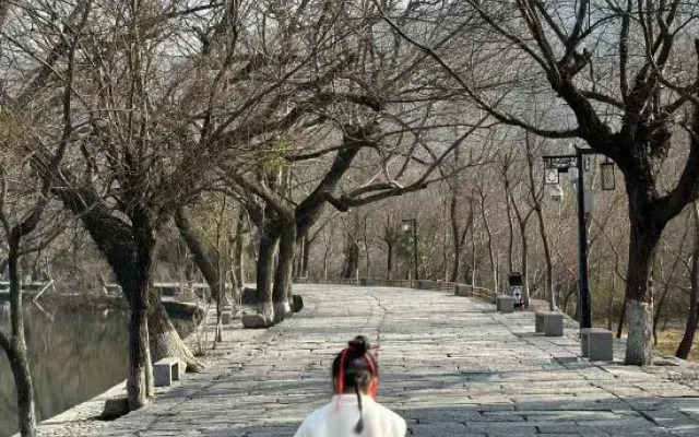 Huangshan Jixian Rusuoyuan Homestay (Hongcun Branch)
