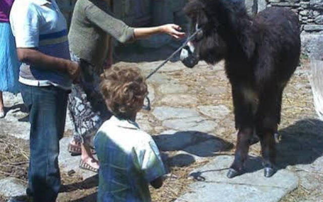 Posada Real La Mula de los Arribes