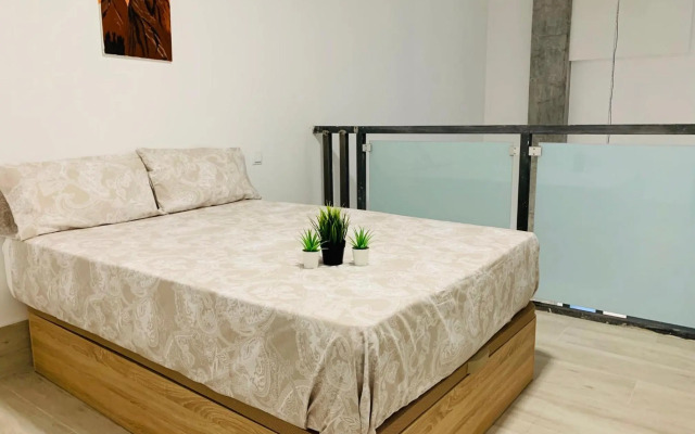 Nuevos Duplex Principe Vergara