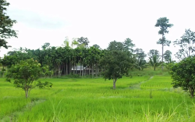 The White Elephant House