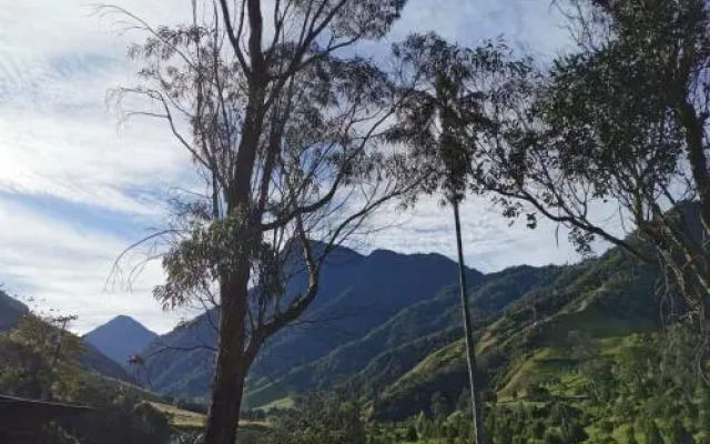 Cabañas Truchas Cocora