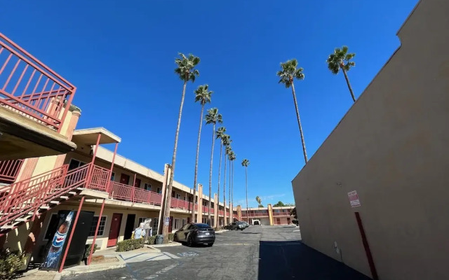 Palm Tree Inn