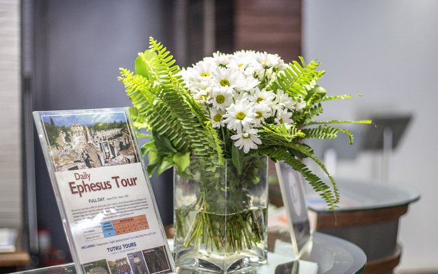 Beyond Hotel - Boutique Class - Special Class