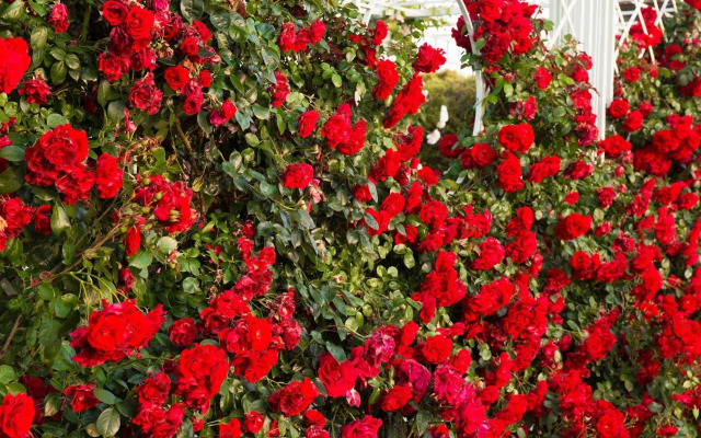 Relais Sassa al Sole