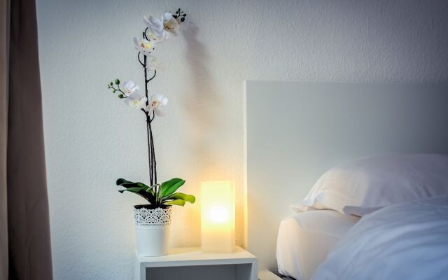 Comfy 3 Beds Near Parc de L'orangerie