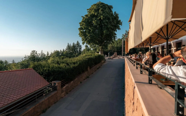 Berggasthof Königstuhl