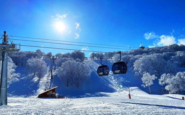 nozawasnow