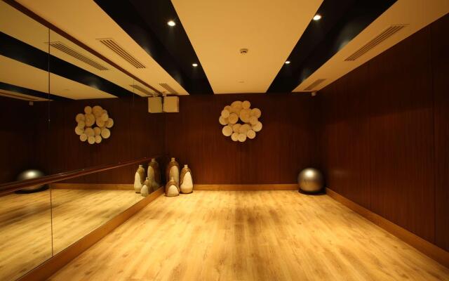 Radisson Blu Plaza Delhi Airport