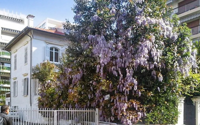 Superb Villa in Cannes on the French Riviera with Balcony, Garden And