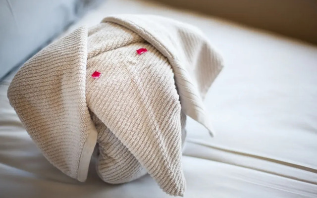 Twin Thorns Guesthouse