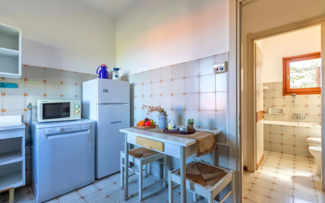 Sardinia Re - Shuluq 6