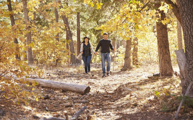 Natuurpark Hoefbos Boshuisje Veluwe