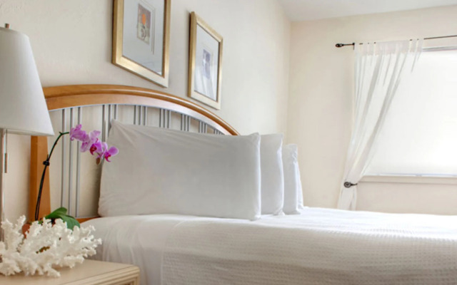 Dorchester Miami Beach Hotel & Suites