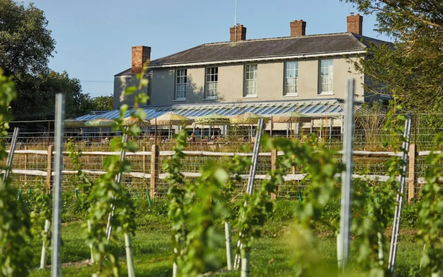 The Pig in the South Downs