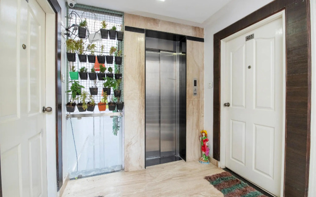 Capital O 68975 The Blueberry's