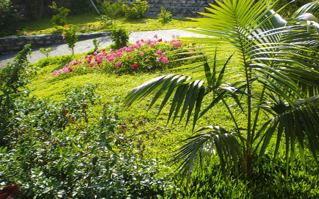 Holiday home, Ribeira Brava