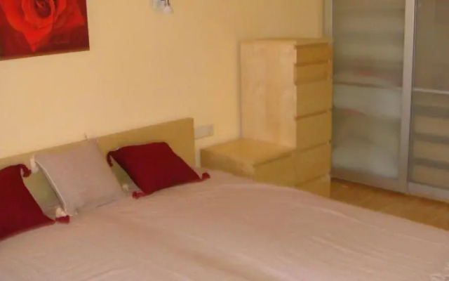 Ski-In/Ski-Out Appartements Augasse