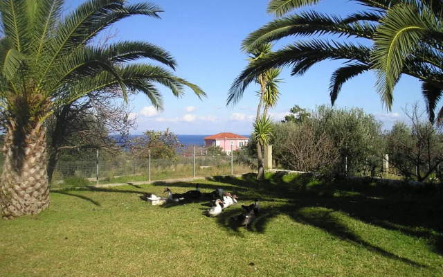 Nikolaos Studios Skala