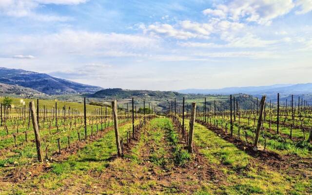 Romantic flat in Florence Countryside Apartment 1 BestStayz.1