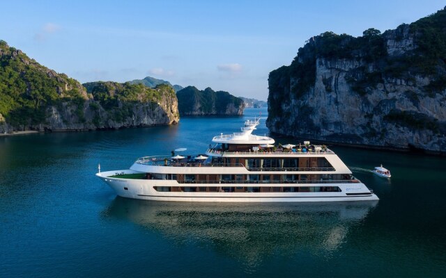Stellar of the Seas