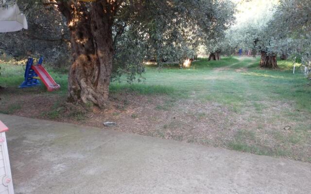 The Small House in the Olive Grove