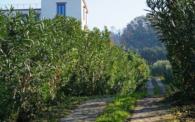 Tenuta Convivium Cuma