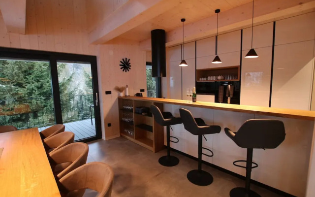 Villa in Dolni Morava Near Ski Slopes
