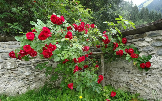 Ferienwohnung Mörsbachblick