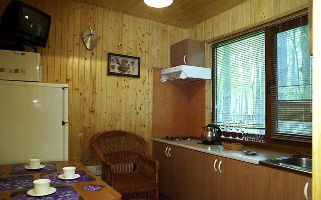 Holiday Hotel Glebovka