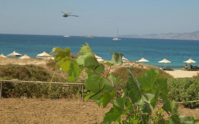 Aronis Plaka Naxos