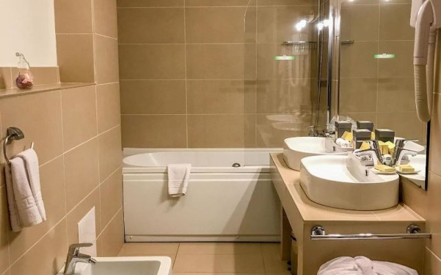 Hotel Satu Mare City
