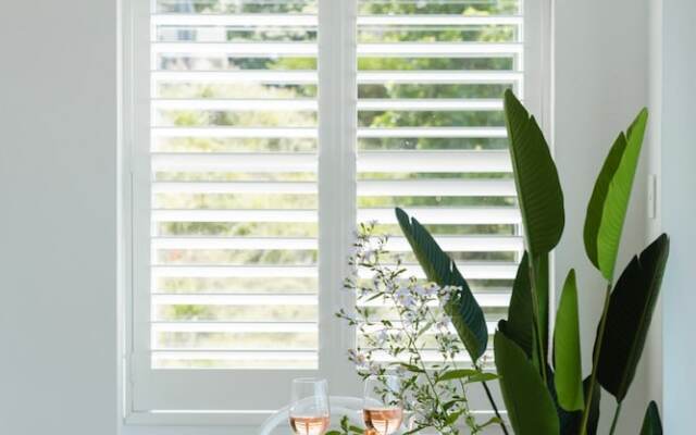 Palm View Collective