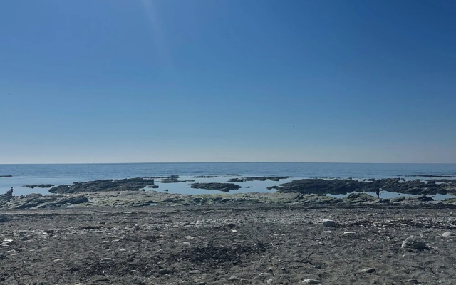 Waves Edge