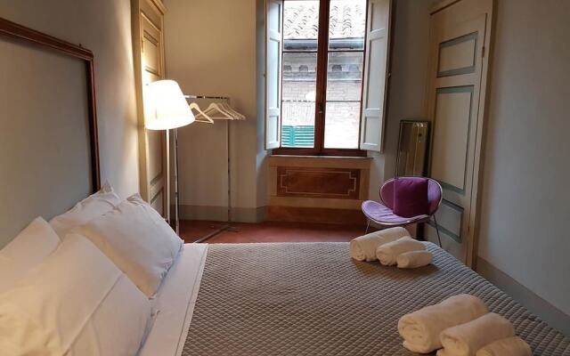 Numero 12 Fior di Narciso 110