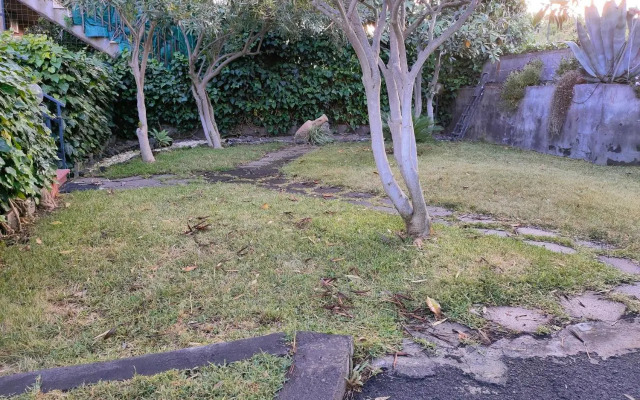 I capricci dell'Etna 1 di Puglisi