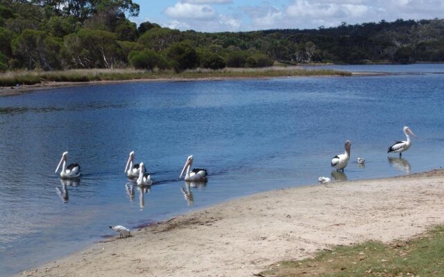 Cinnamon Coloureds Farm Cottages